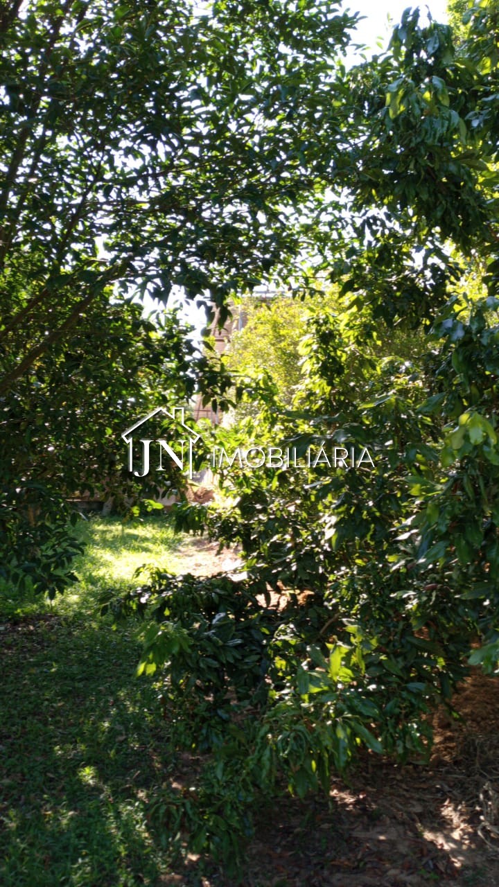 Foto 5 de Galpão à venda em Lagoa · Ref. 1427