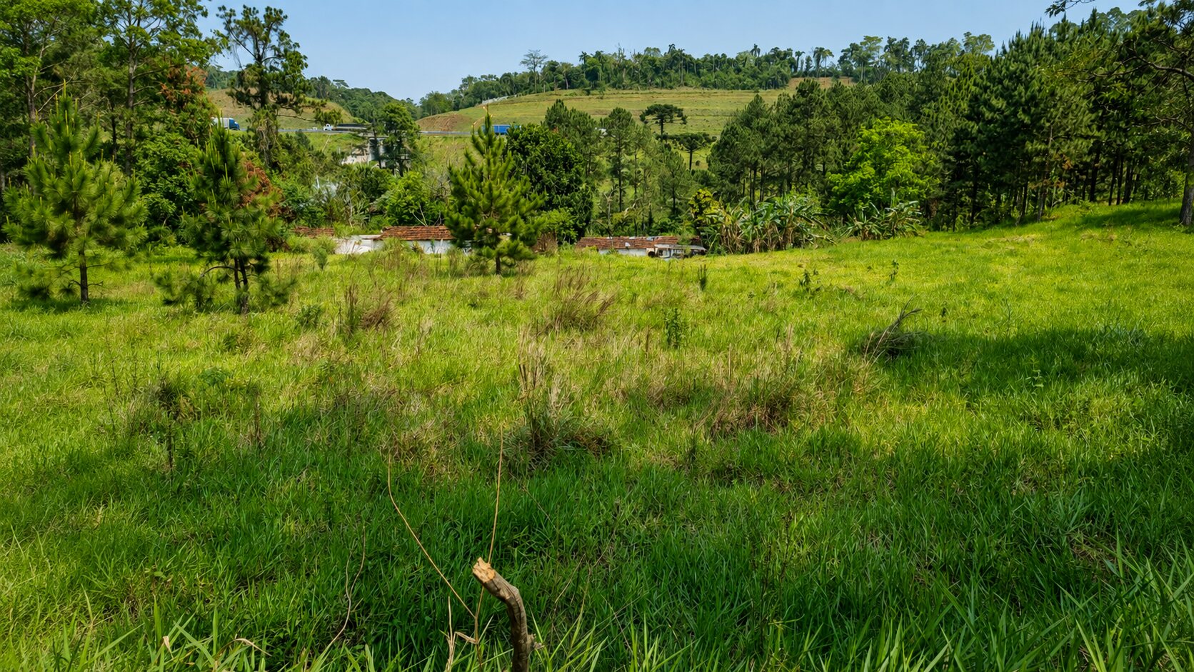 Vista ampla da área