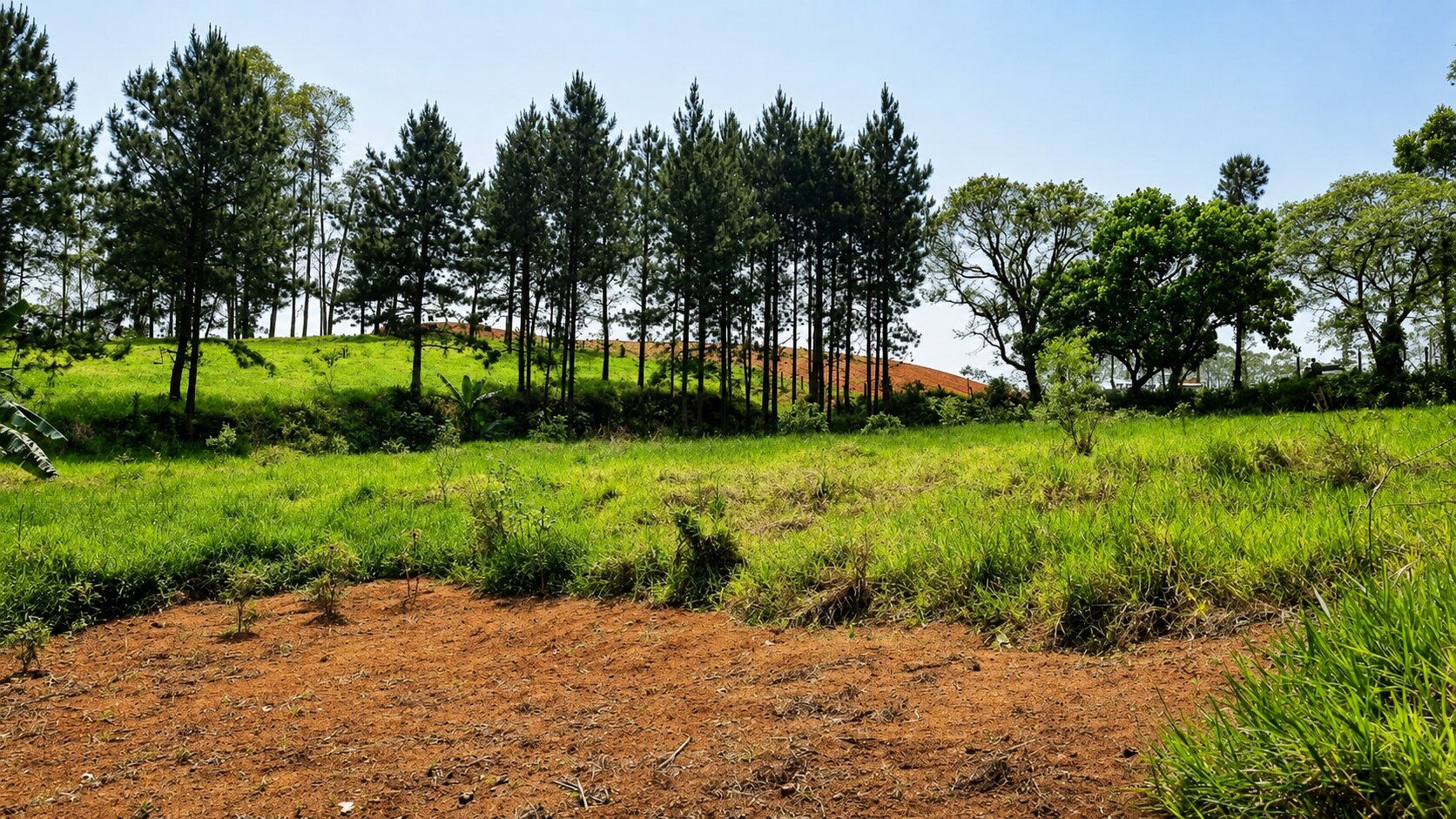 Vista aberta do terreno